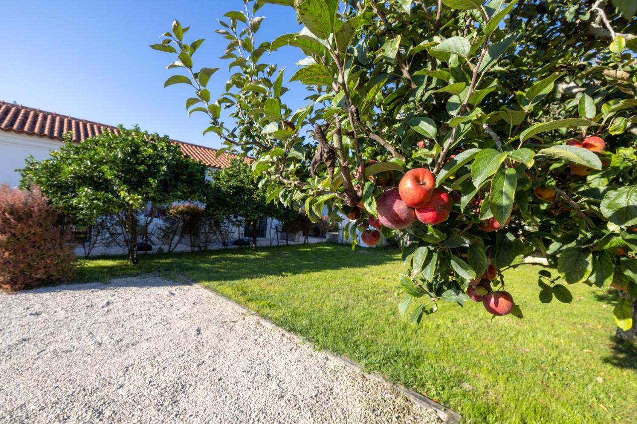 Casa Da Lagoa E Forja - Turismo Rural ميرا المظهر الخارجي الصورة